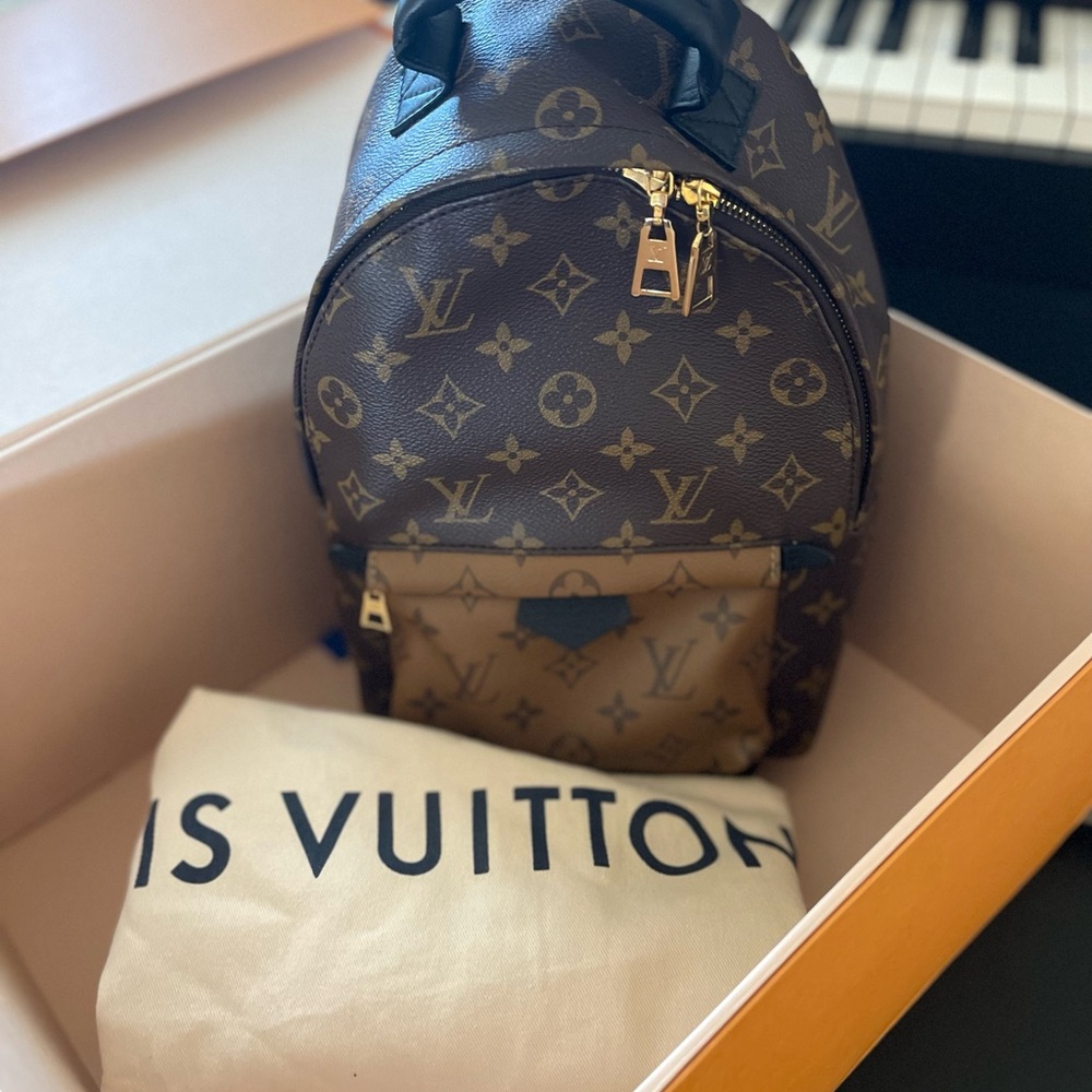 Louis Vuitton Palm Springs PM Monogram Backpack